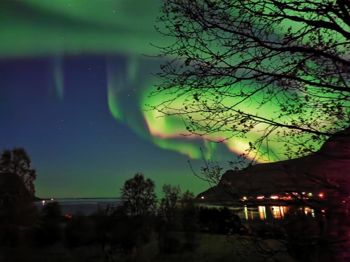 Ferienwohnung Rystad Midnight Sun And Nature Exterior foto